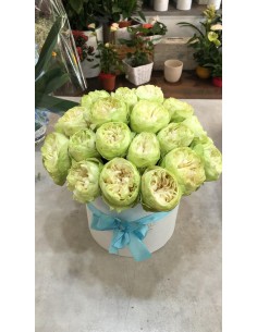 FlowerBox Rose Bianche Vere