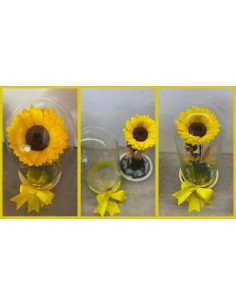 Girasole Stabilizzato Con Campana in Vetro