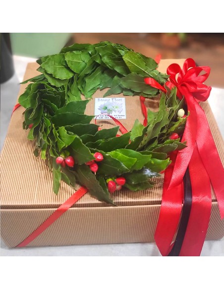 coroncina di laurea con bacche rosse