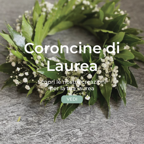 corocine-laurea-stranifiori