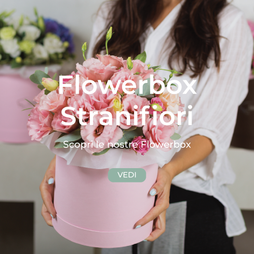 flowerbox-stranifiori