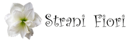 Strani Fiori